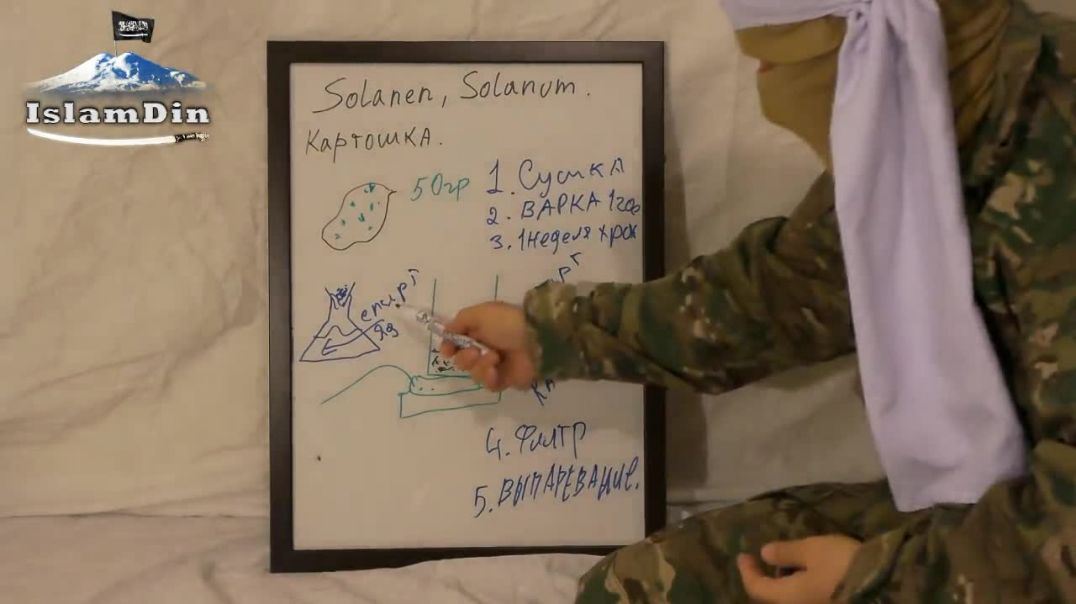 Уроки Джихада для новобранцев: Урок 24. Производство яда "Соланин".
