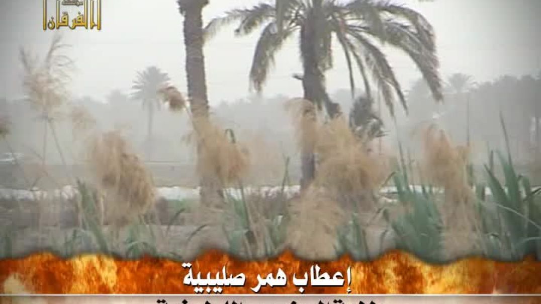 1 - الجنوب - إعطاب همر - ولاية الجنوب - اللطيفية - الجودة الأصلية