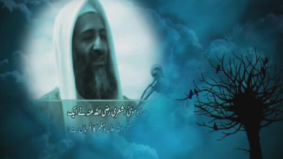 الأندلس - ظلال السيوف 11 أسود الشرق