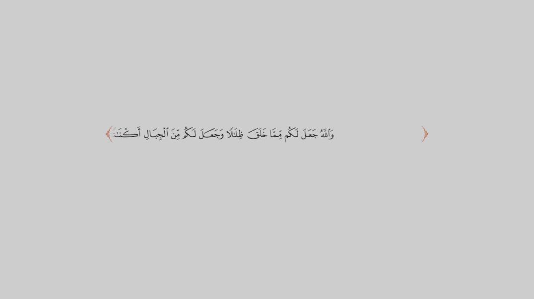 الكتائب - من ثغور العز 2