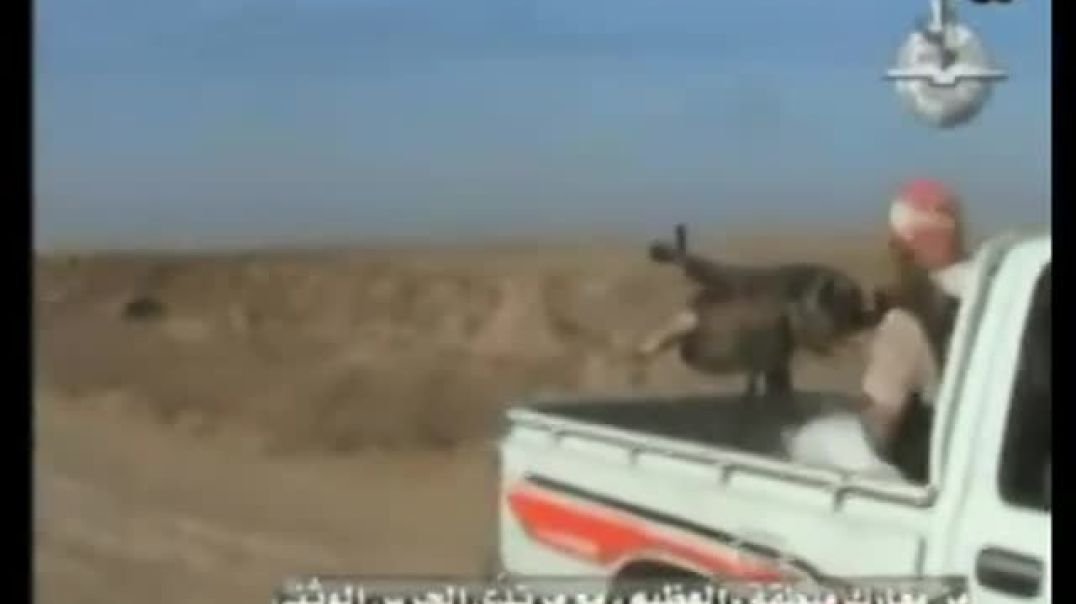 عمليات متنوعة لتنظيم القاعدة في بلاد الرافدين