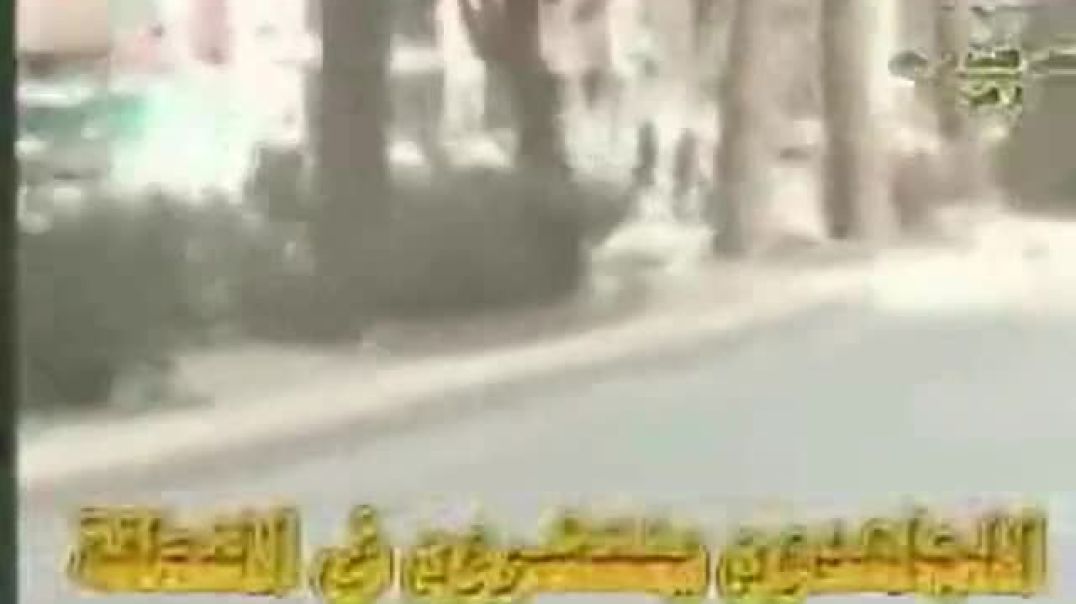 سيطرة أسود القاعدة على شارع حيفا